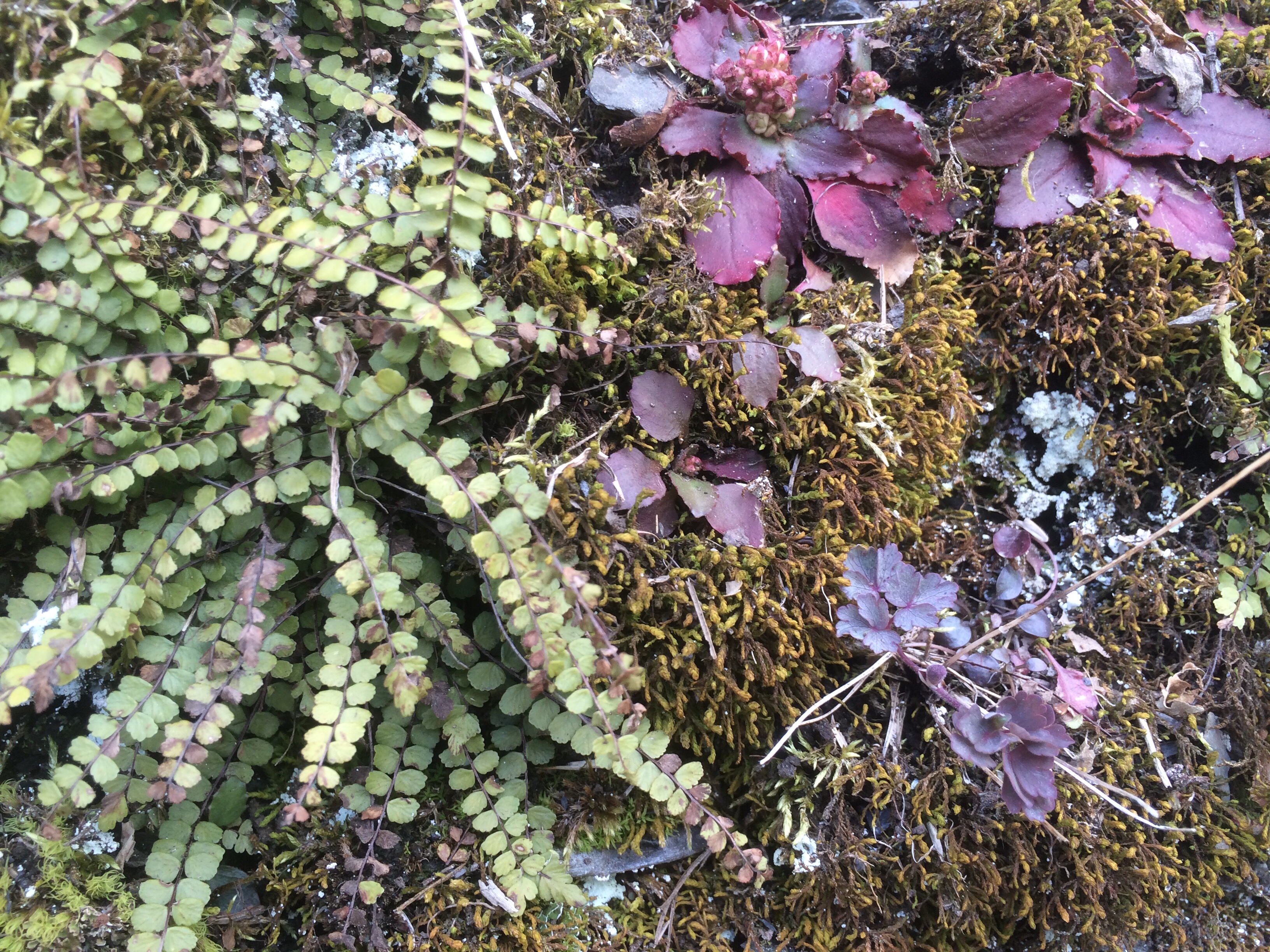 Photo by Carl J Fichter